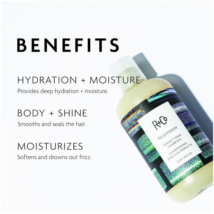 R+Co TELEVISION Perfect Hair Shampoo \u2013 Hydrating &amp; Smoothi...