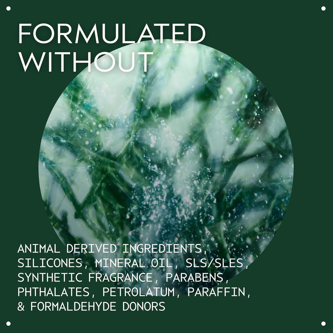 Aveda Botanical Kinetics Exfoliante, 5 onzas
