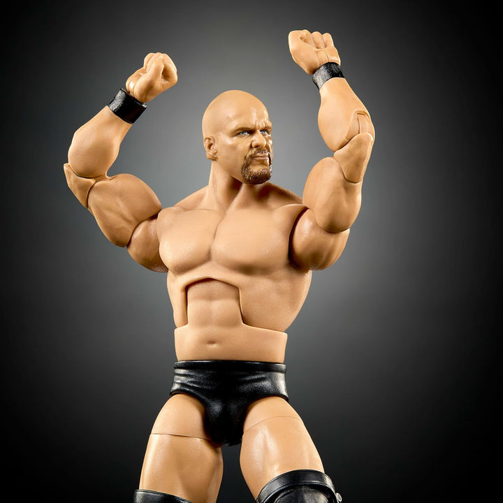 Mattel WWE Elite Collection - Figura de acción y accesorios, juego...