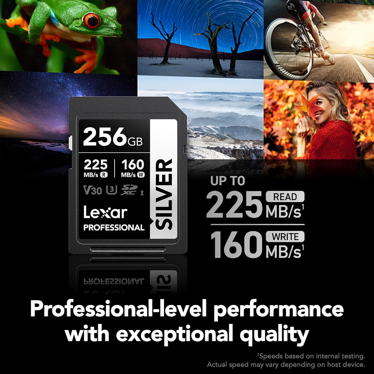 Lexar Tarjeta de memoria SD plateada de 256 GB, lectura de 225 MB/s, 4K