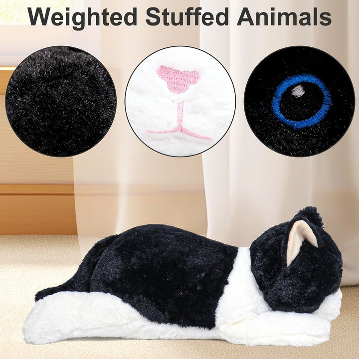 Wepop Animales de Peluche con Peso de 5 Libras, Peluche de Gato Gra...