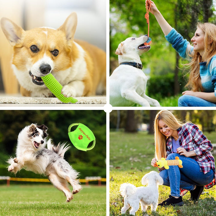 Aipper Juguetes para perros, paquete de 25 unidades para diversión...