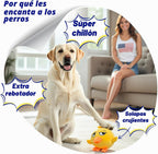 Juguete para perros para masticadores agresivos, bola masticable chirriante