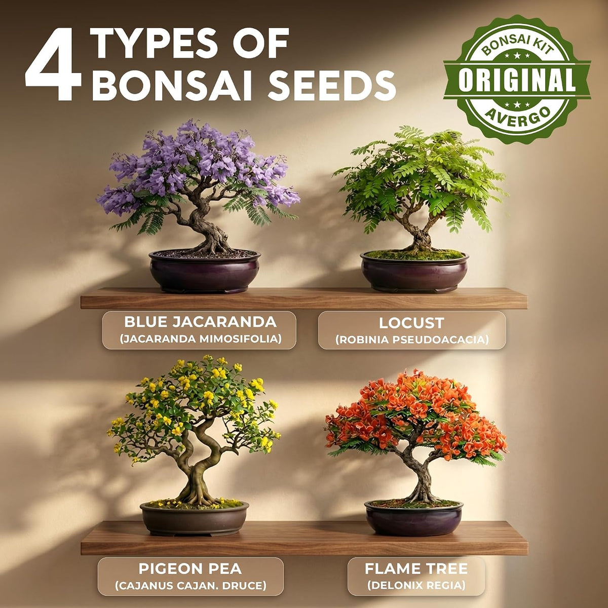 Bonsai Tree Kit Classic - Growing 4 Unique Japanese Bonzai Trees