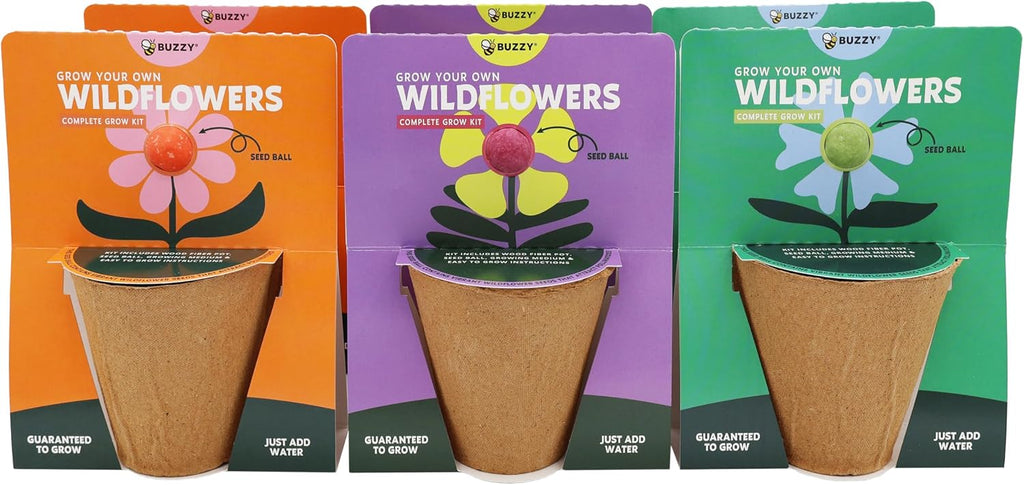 Buzzy Seeds - Vasos de bola de semillas de flores silvestres, paquete de 6