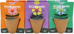 Buzzy Seeds - Vasos de bola de semillas de flores silvestres, paquete de 6