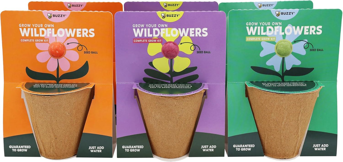Buzzy Seeds - Vasos de bola de semillas de flores silvestres, paquete de 6