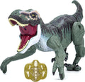 VERTOY Juguete de dinosaurio T-Rex RC gris con luz de rugido de aerosol