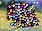 Stonemaier Games: Envergadura de huevos moteados | Añadir a Envergadura