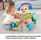 Fisher-Price Laugh & Learn Smart Stages Puppy Walker