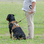 Beebiepet - Arnés táctico sin tirones para perro, con correa, grande, color