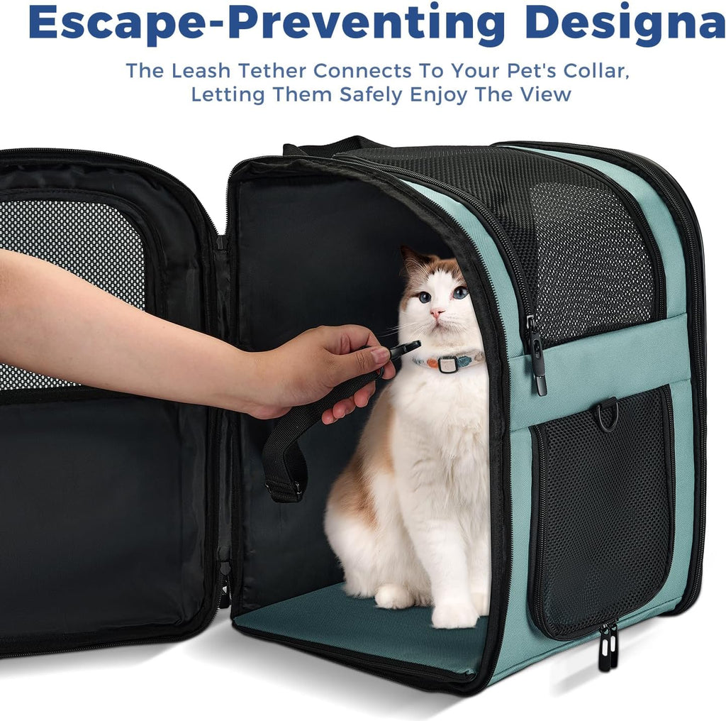 Apollo Walker - Mochila portadora para gatos, marco de soporte