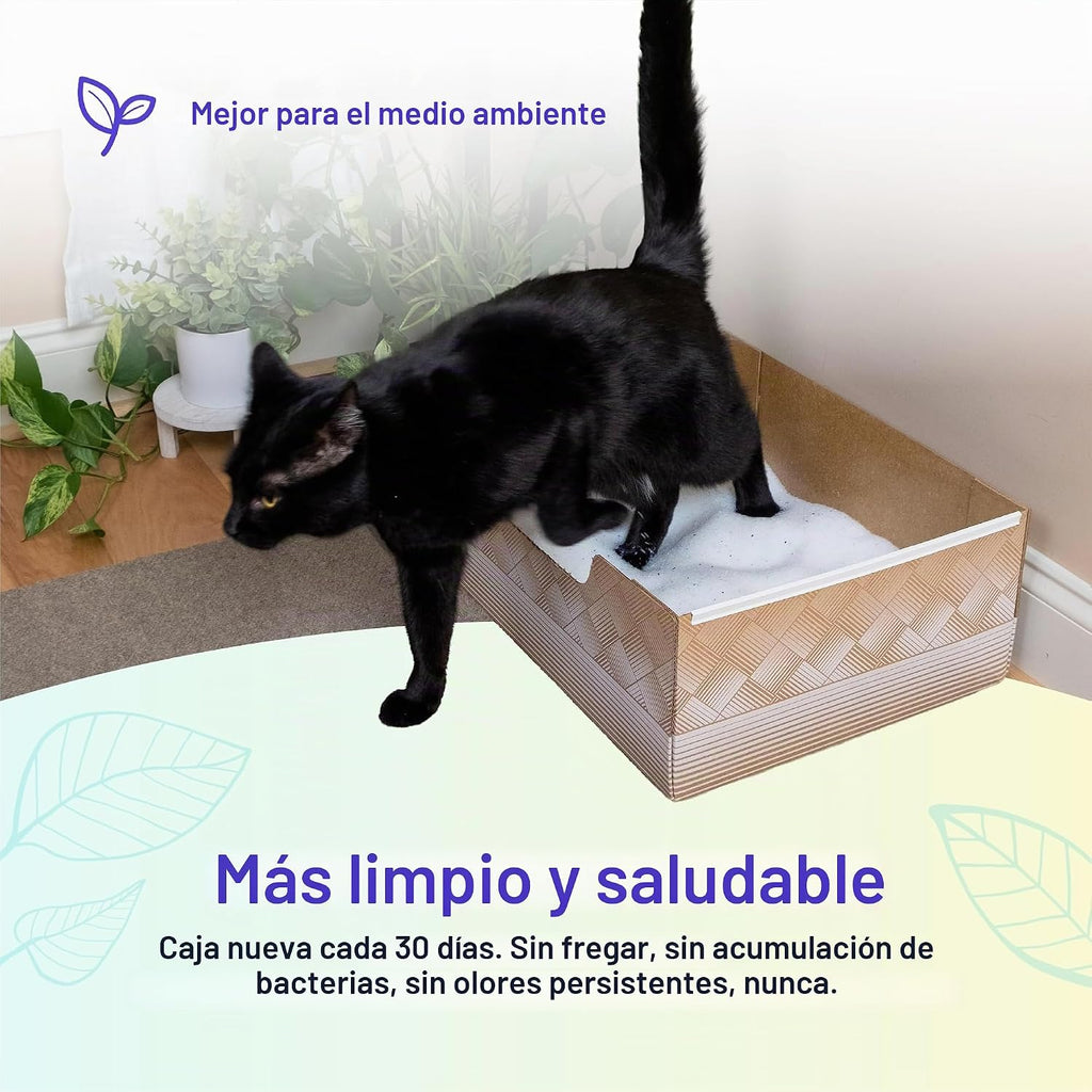 Kitty Poo Club Caja de arena desechable para gatos, paquete de 2