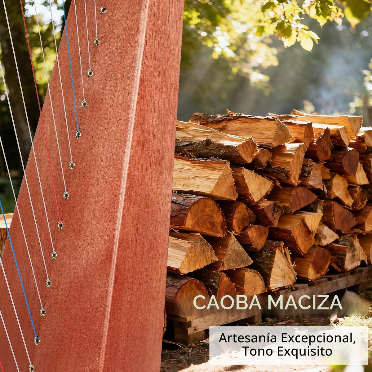 LOTKEY Arpa de 19 cuerdas, arpas de caoba maciza de 29 pulgadas con bolsa de concierto, llave de afinación, correas, instrucciones para jugador profesional de arpa de lira, principiantes, adultos F3 G3 A3 B3 C4 D4 E4 F4 G4 A4 B4 C5 D5 E5 F5 G5 A5 G5 A4 37