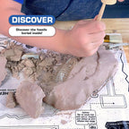 ArtSkills Kit de excavación de fósiles de dinosaurios para niños que