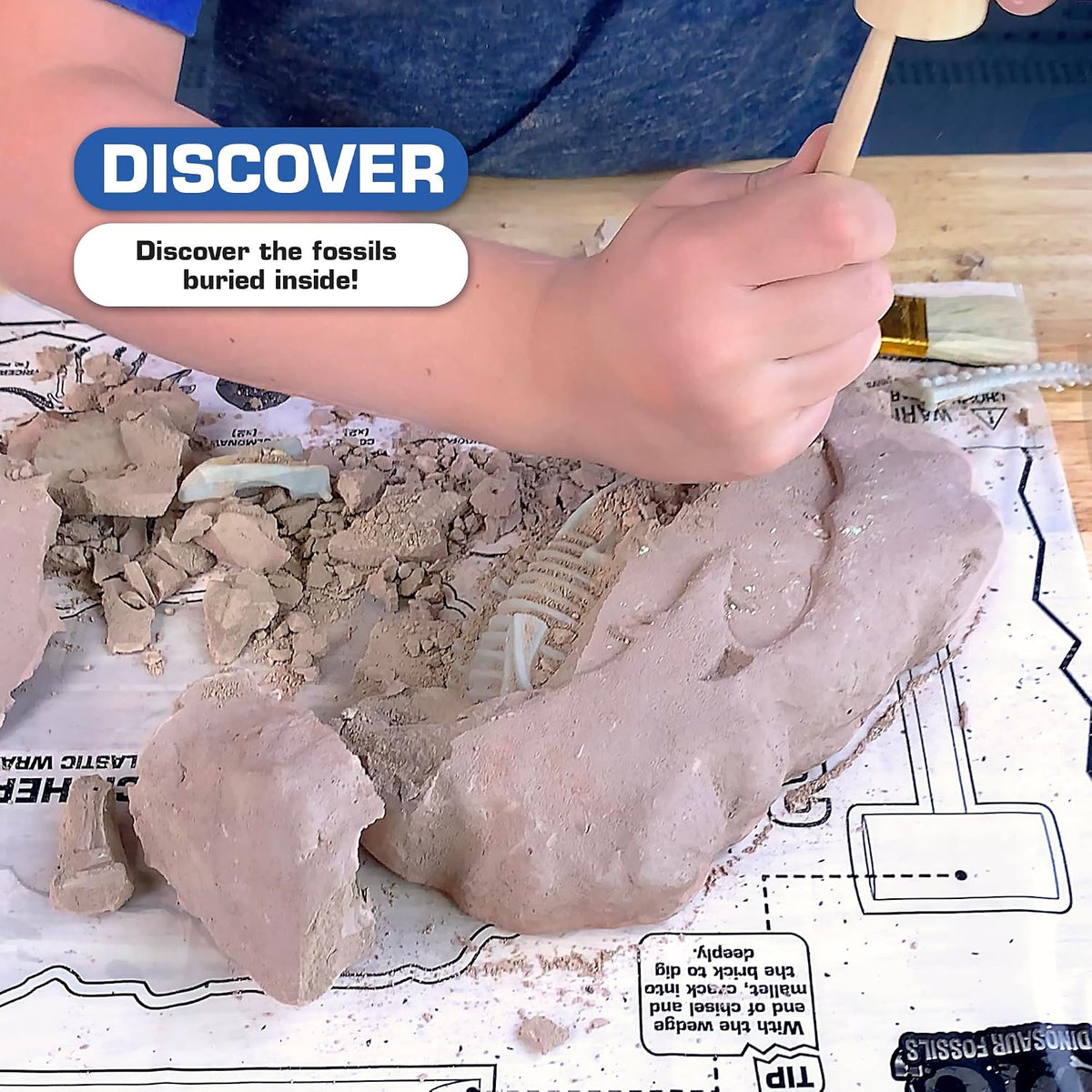ArtSkills Kit de excavación de fósiles de dinosaurios para niños que