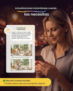 Furbo Mini cámara para mascotas [suscripción de 6 meses incluida]