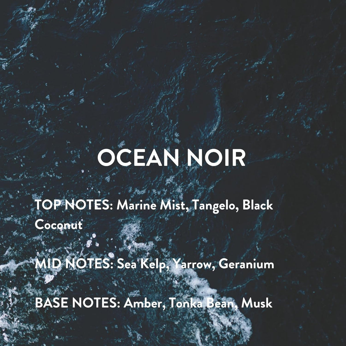 Michael Malul Ocean Noir Eau de Parfum para Hombres - 10 ml Tamaño...