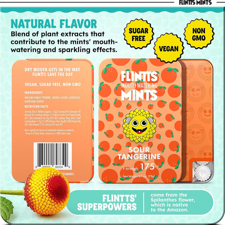 Flintts Mints Fruit Troop - Mentas sin azúcar que hacen agua la boc...