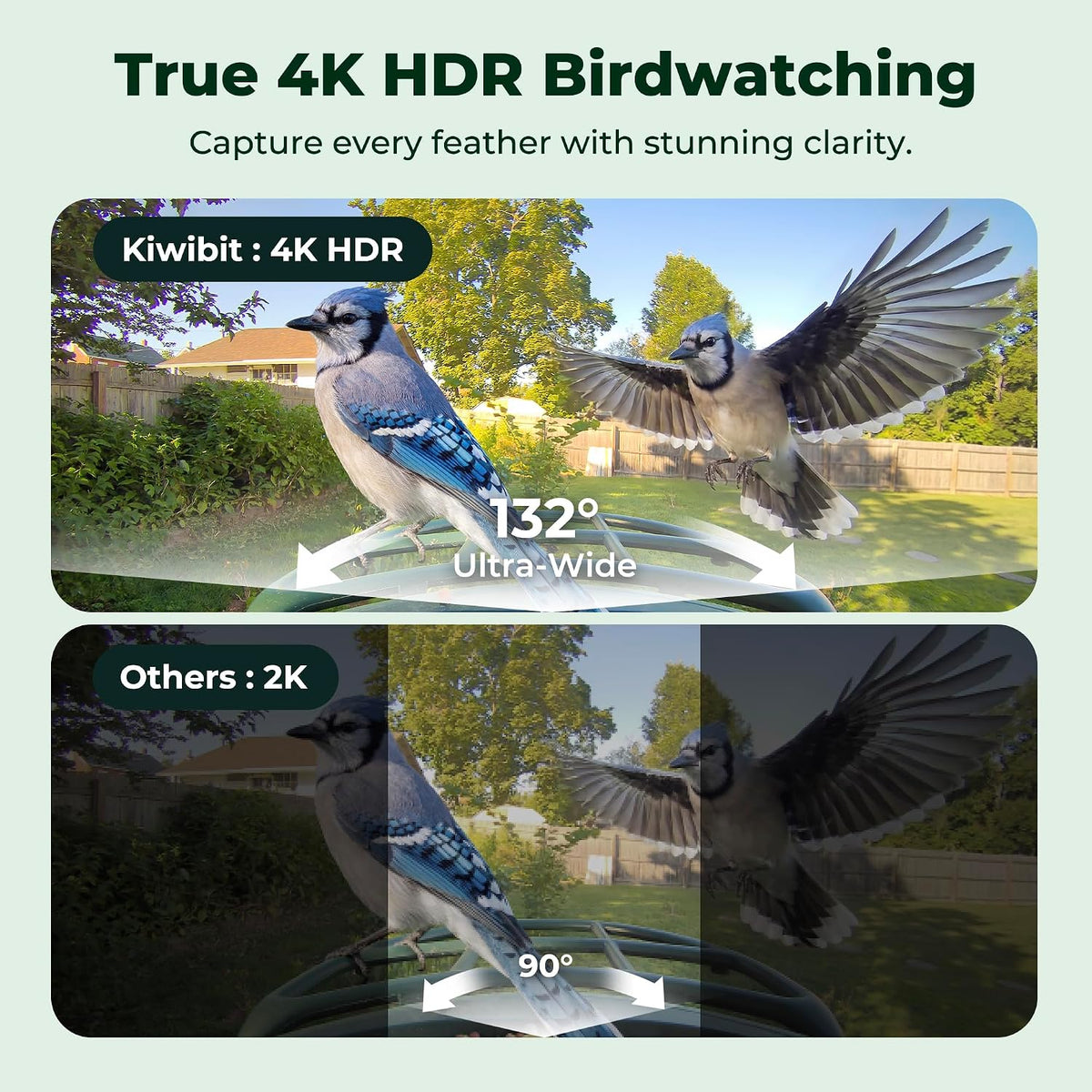 Comedero para pájaros con cámara 4K, alimentado por energía solar