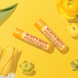 Burt's Bees Bálsamo labial - Cera de abeja original, paquete de...