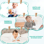 WOODMAM - Juguetes Montessori para bebés de 0 a 6 meses, kit educativo 9 en 1