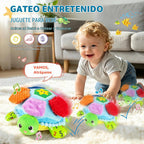 Juguetes para bebés de 6 a 12 a 18 meses, juguetes musicales interactivos