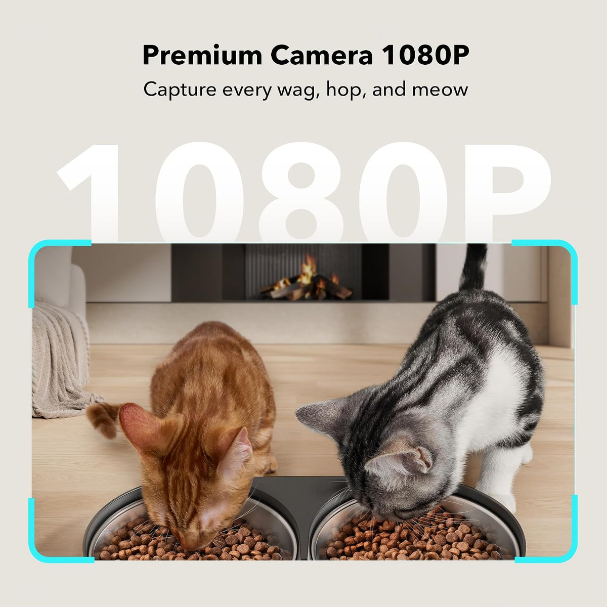 PETLIBRO Comedero automático para gatos con cámara para dos gatos, video HD 1080P con visión nocturna, alimentador WiFi 5G para mascotas con audio de 2 vías para gatos y perros