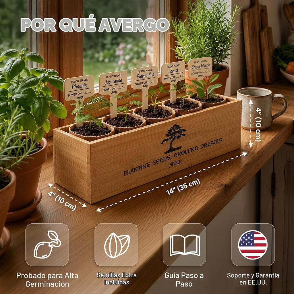 Kit Bonsái Deluxe - Cultivo de 5 árboles bonsái japoneses únicos