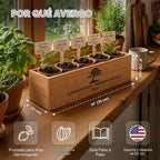 Kit Bonsái Deluxe - Cultivo de 5 árboles bonsái japoneses únicos