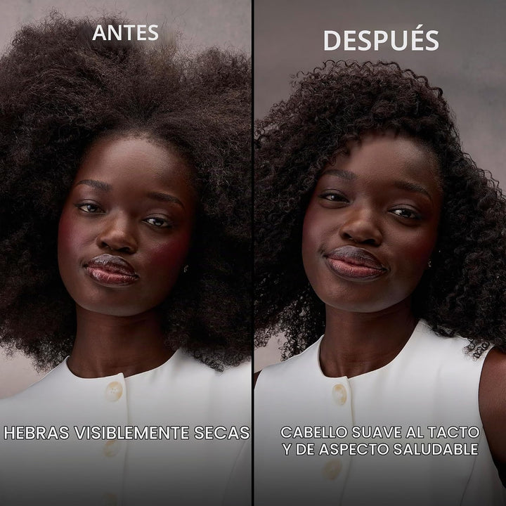 Champú hidratante Nexxus Therappe Ultimate Moisture para cabello se...