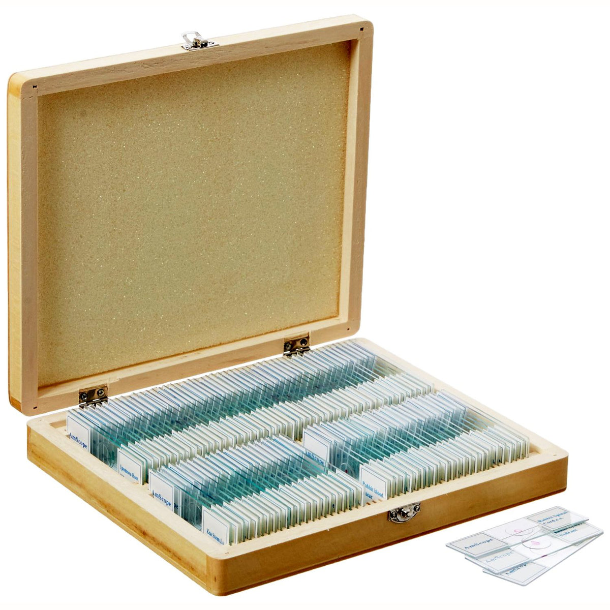 AmScope PS100A juego de diapositivas de microscopio preparado para educación básica de ciencias biológicas, 100 diapositivas, juego A, incluye caja de madera