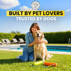 Juguetes acuáticos flotantes para perros, paquete de 2, palo de