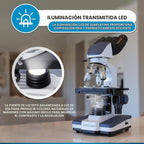 AmScope B120C Siedentopf microscopio binocular compuesto, aumento de 40X-2000X, iluminación LED, condensador Abbe, plataforma mecánica de doble capa.