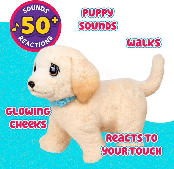 Little Live Pets Ouchies Cooper The Retriever Puppy, más de 50 soni...