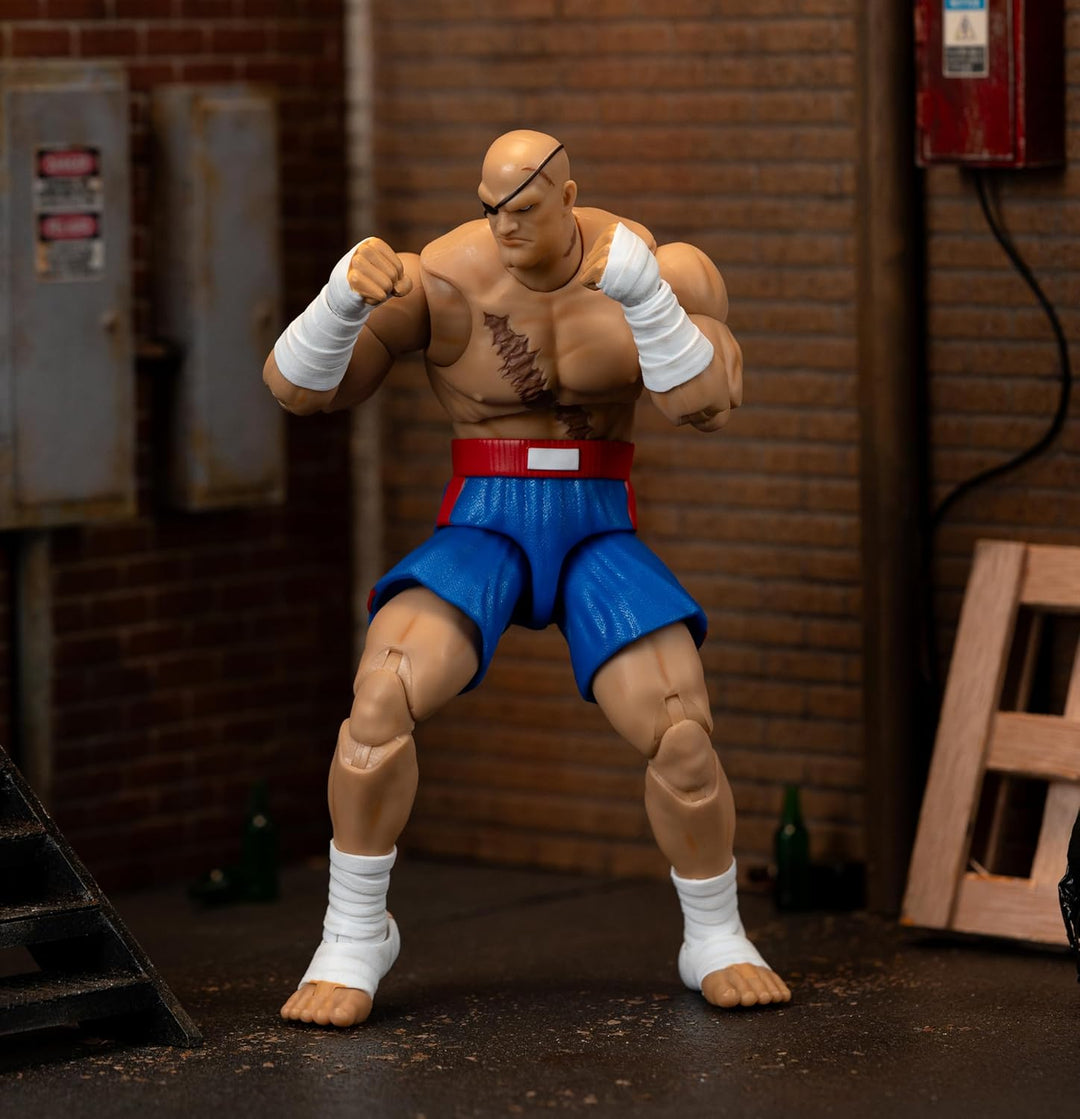 Jada Street Fighter II Sagat Deluxe - Figura de acción a escala 1:1...