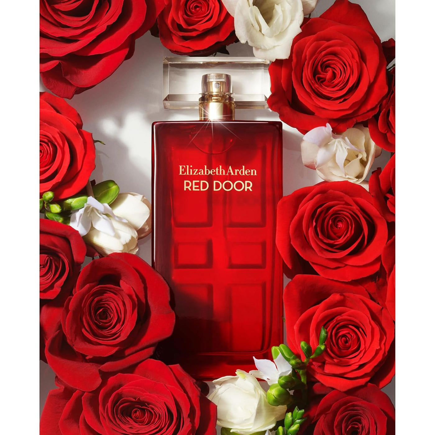 Elizabeth Arden Red Door Women's Perfume, Fragrance, Floral Par...