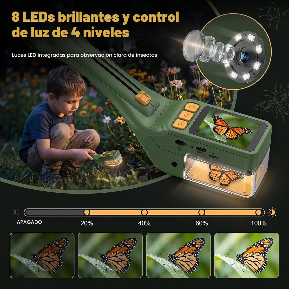 Atrapa insectos para niños con lupa 500X, juguetes educativos de