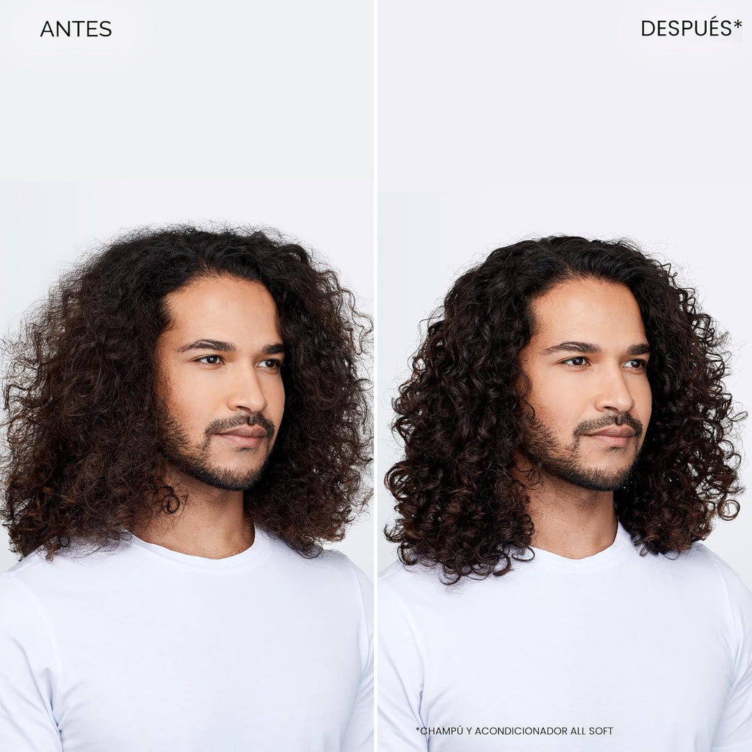 Redken All Soft Shampoo - Hidrata y nutre el cabello seco y quebrad...