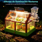 Kit de cultivo de plantas para niños, juego de terrario de invernadero, educativo, ciencia, bricolaje, jardín, invernadero, con panel solar, kit de jardinería interior