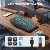 MEETION Teclado ergonómico con cable, retroiluminación transparente...