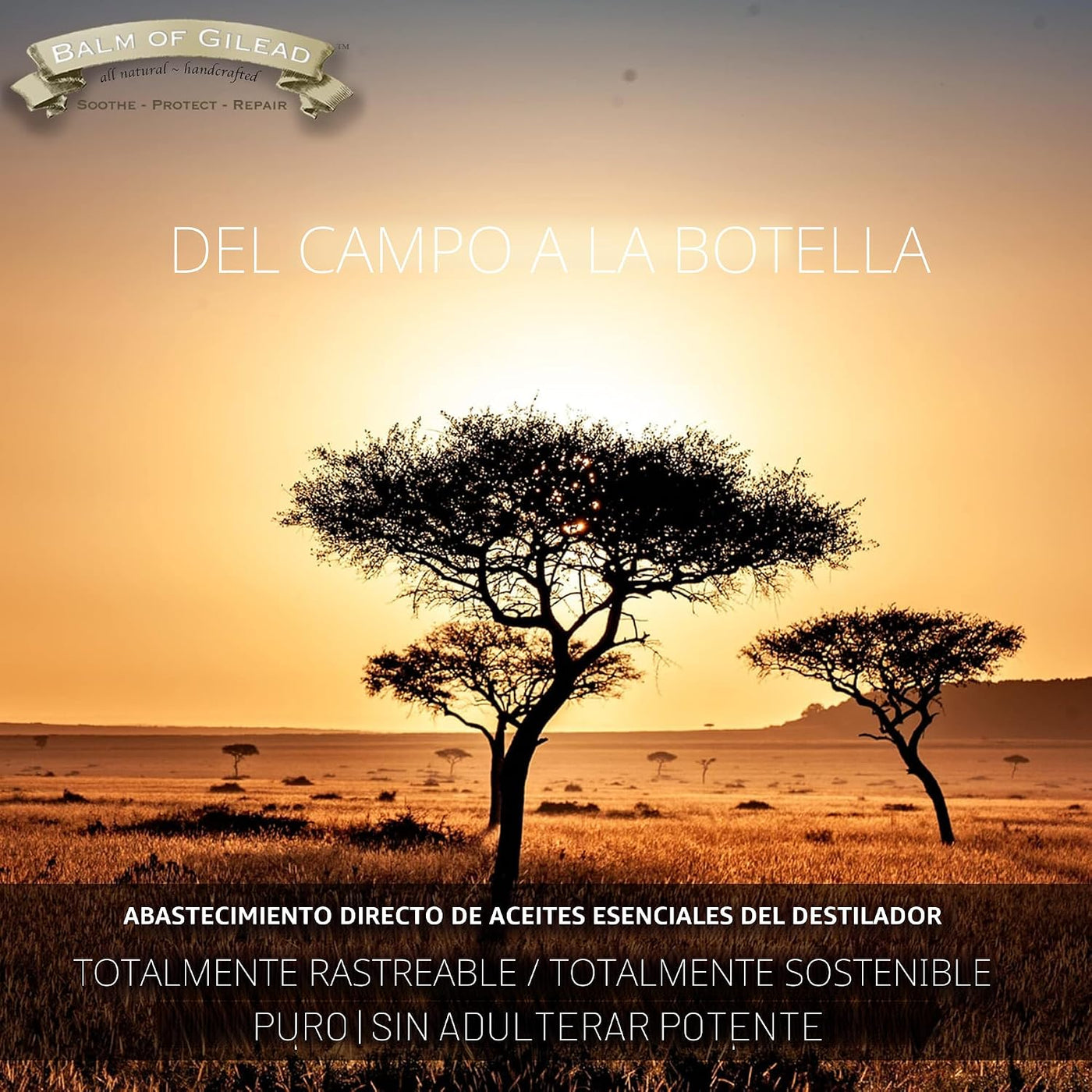 Crema de Sanación para Pies BALM OF GILEAD \u2013 Hidratante de Inc...