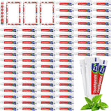 Dimsile 1000 piezas de pasta de dientes a granel de menta regular l...