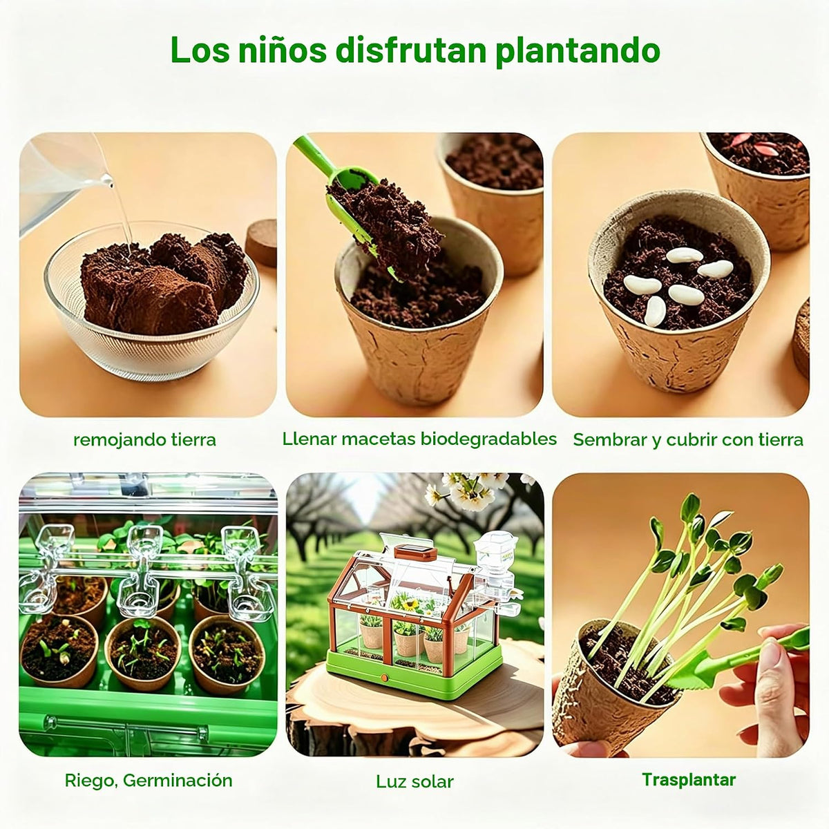 Kit de cultivo de plantas para niños, juego de terrario de invernadero, educativo, ciencia, bricolaje, jardín, invernadero, con panel solar, kit de jardinería interior
