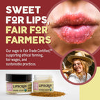 Eco Lips Paquete de 2 exfoliantes labiales de azúcar morena, tratam...