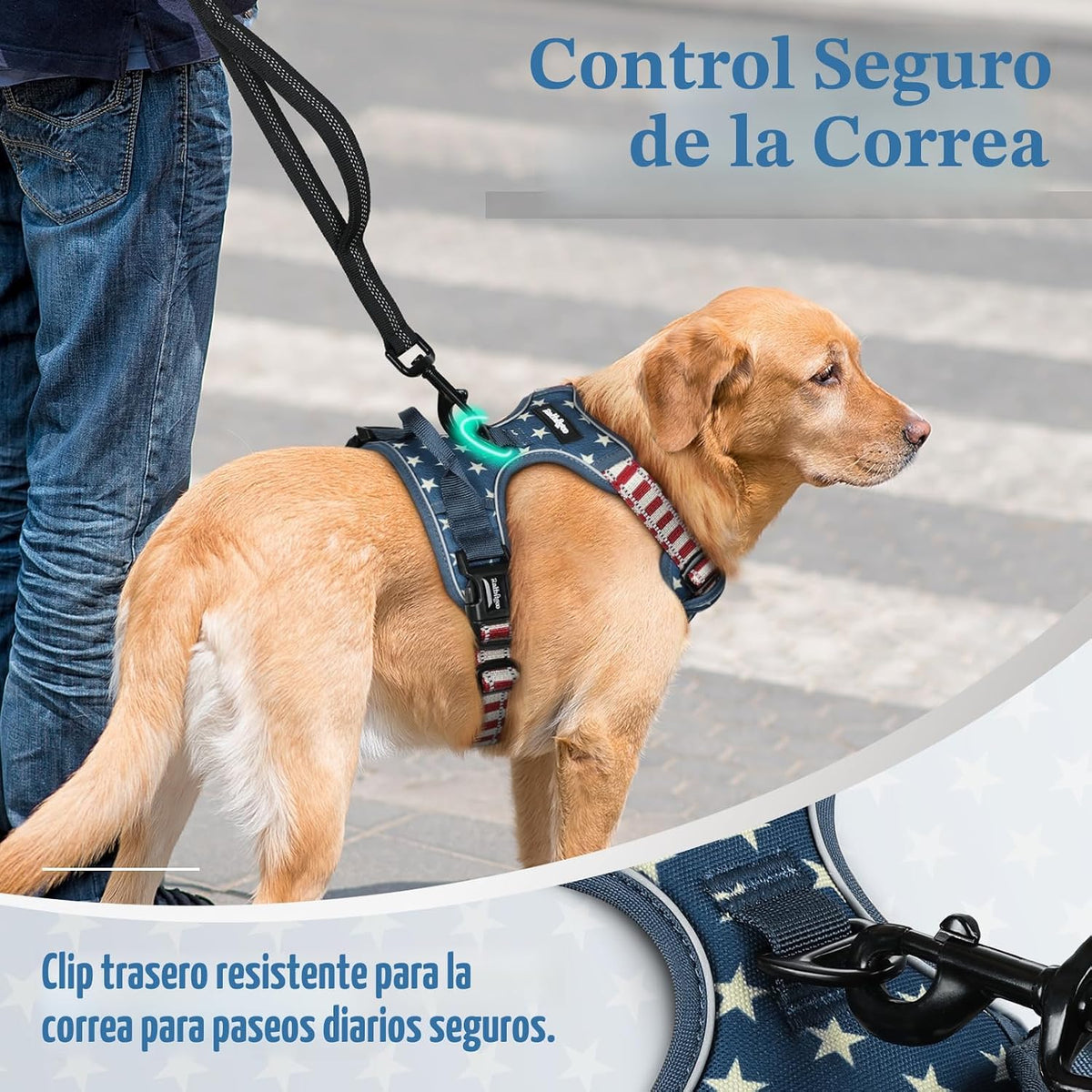 rabbitgoo - Arnés para perro, sin tirones, para perros grandes