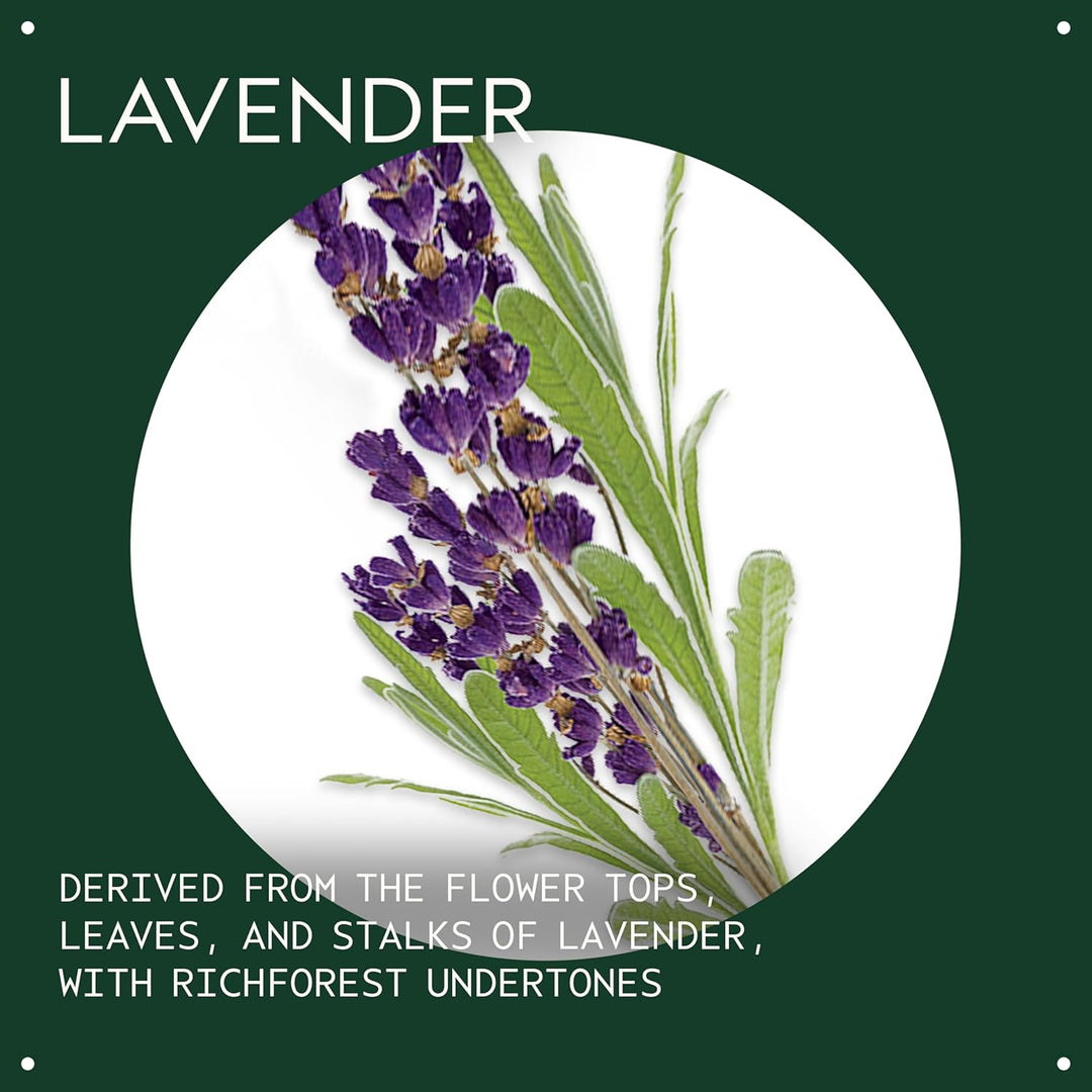 Aveda Aceite esencial de lavanda + base | Aroma calmante | Para cue...