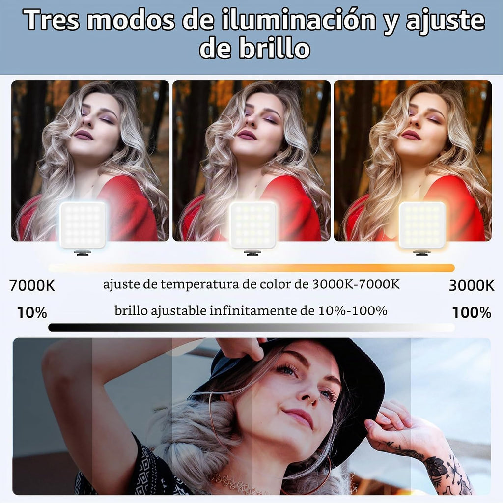 Zeadio Estabilizador de mano de video, kit de agarre de mango de cámara todo en uno con luz de video LED regulable, micrófono, soporte para teléfono, adaptador de cámara de acción para cine, vlogging, YouTube, TikTok, etc