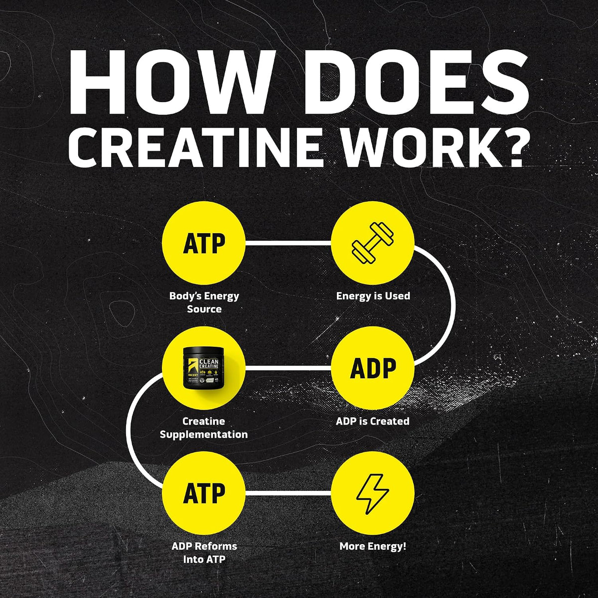 Ascent Creatina Monohidrato Limpia en Polvo - 5G Por Porción, Suple...