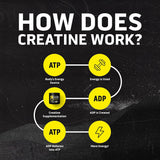 Ascent Creatina Monohidrato Limpia en Polvo - 5G Por Porción, Suple...